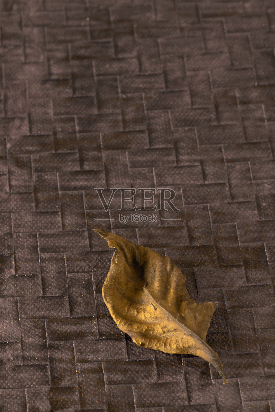 纹理背景上的干叶子照片摄影图片