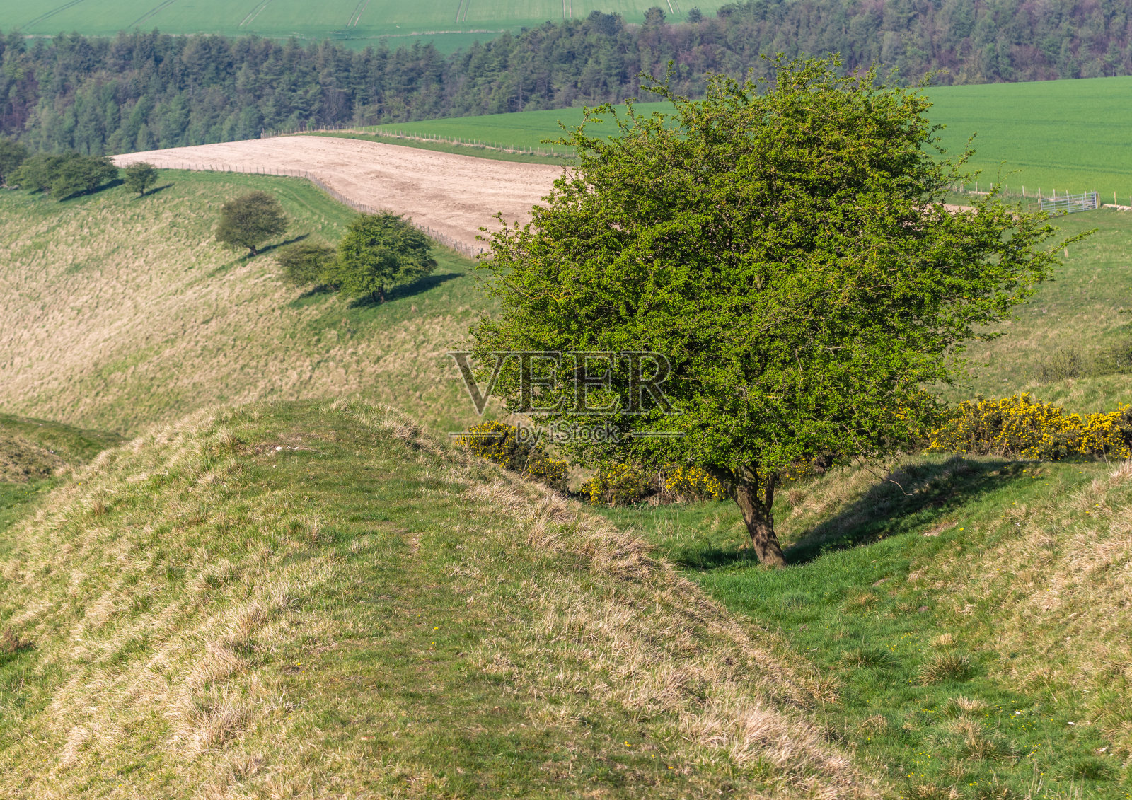 Frendal Dale上方的视图照片摄影图片