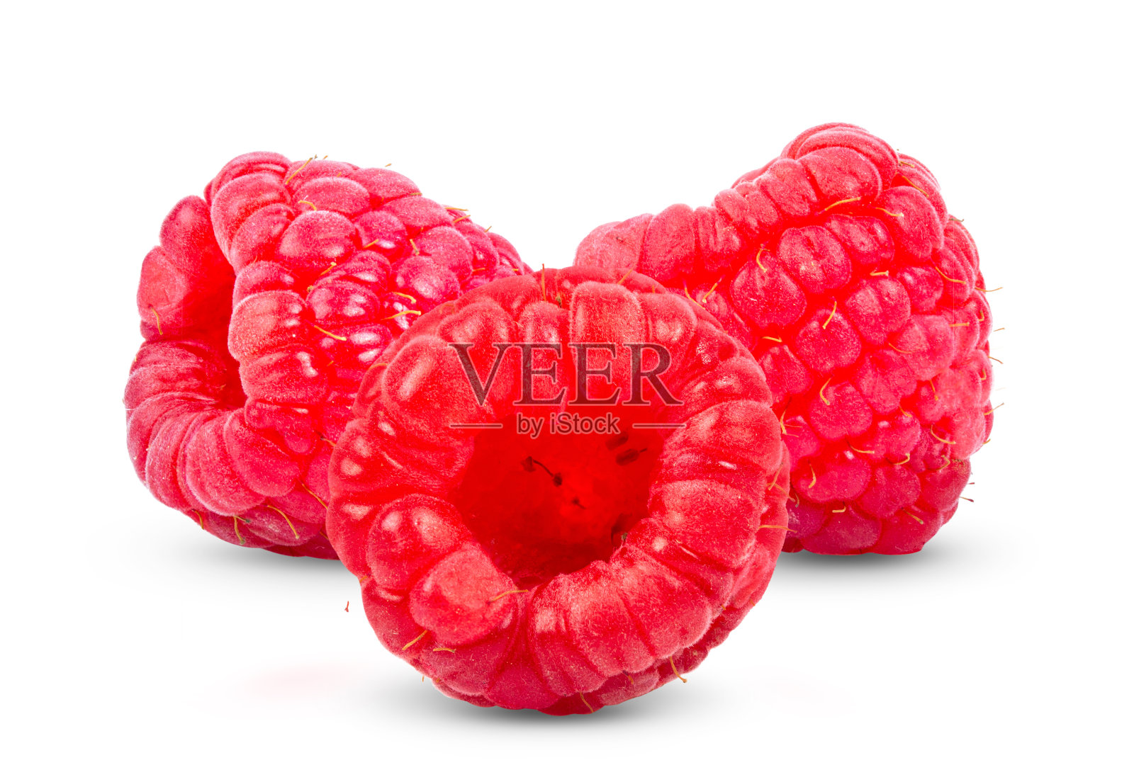 孤立的树莓白色照片摄影图片