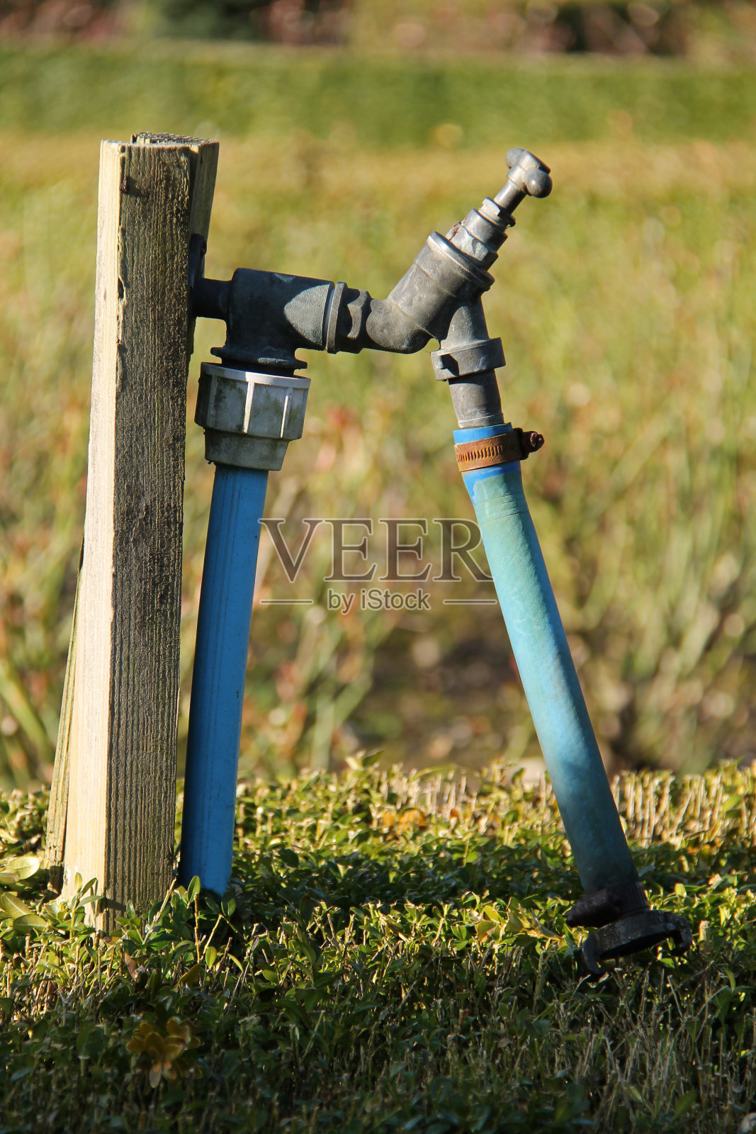 花园水龙头。照片摄影图片