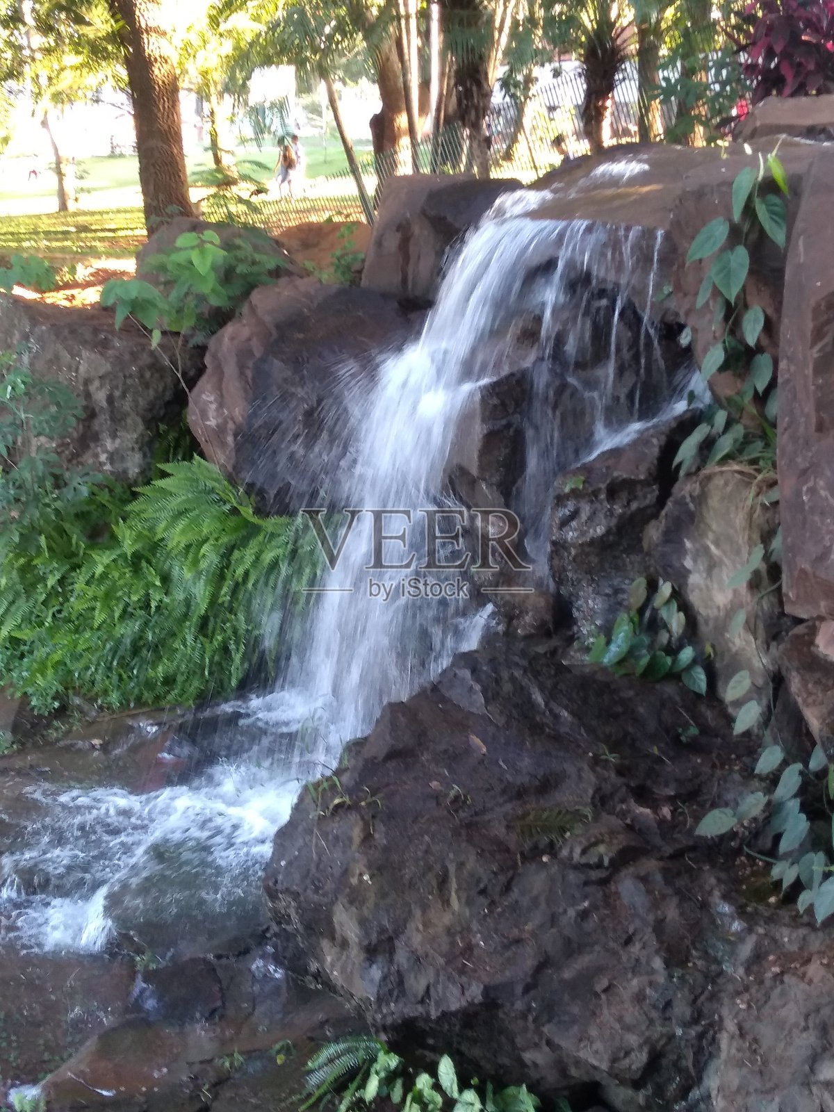 大自然，鸟类和鱼类照片摄影图片