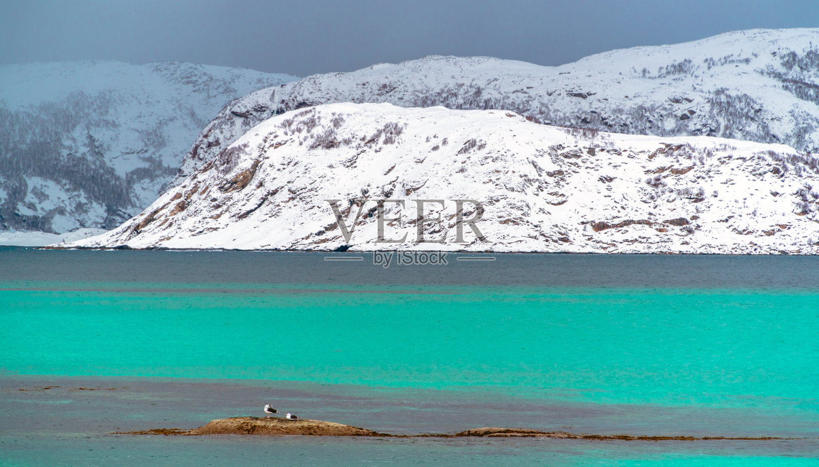 有两只鸟的北冰洋景观照片摄影图片