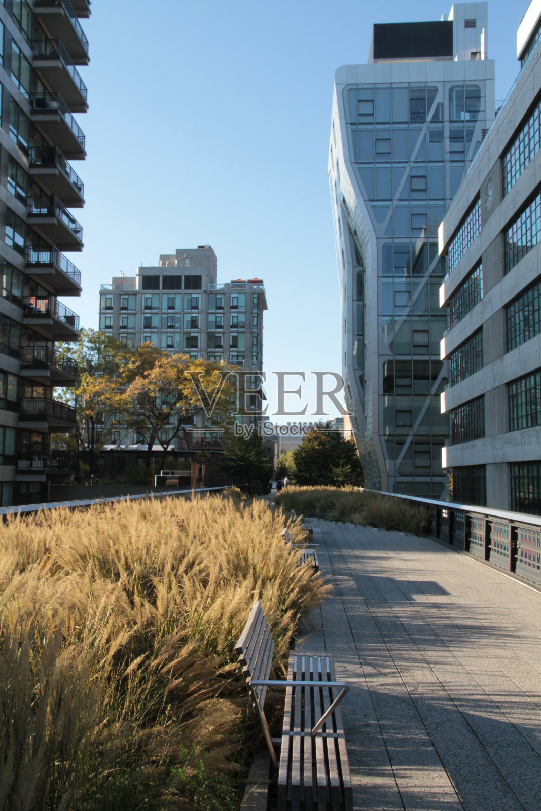 美国纽约高线公园照片摄影图片