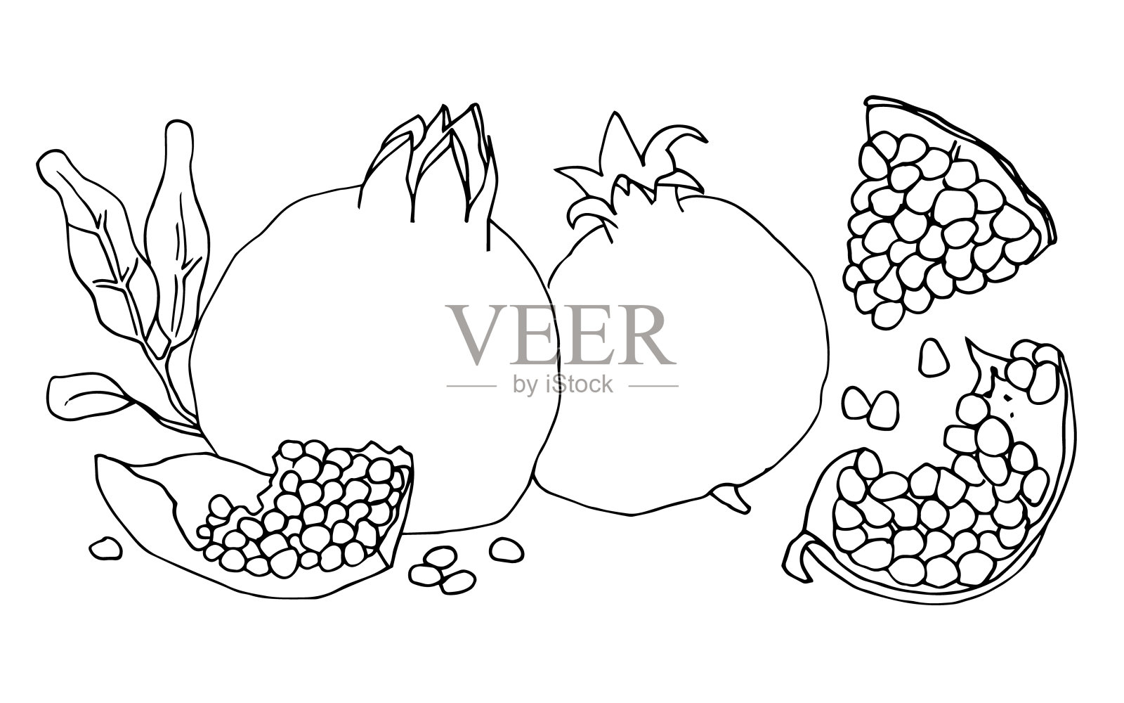 一套轮廓矢量插图与整个石榴和块石榴。插画图片素材