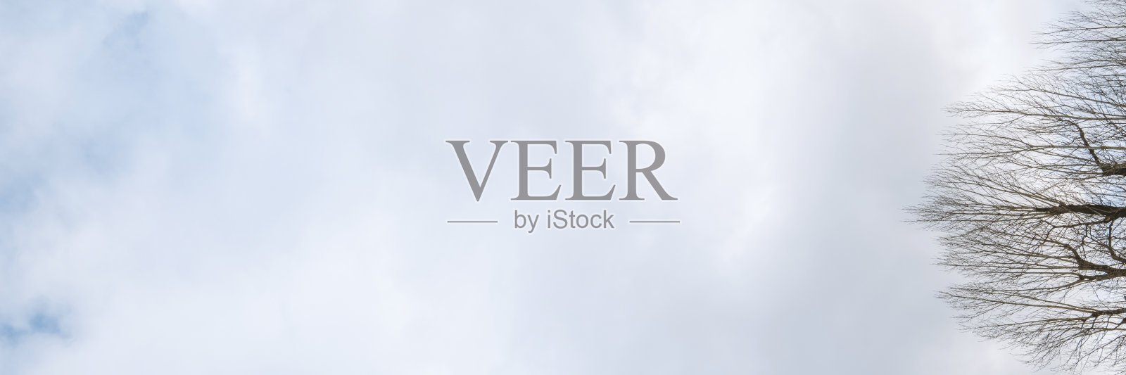 天空与春天的森林照片摄影图片