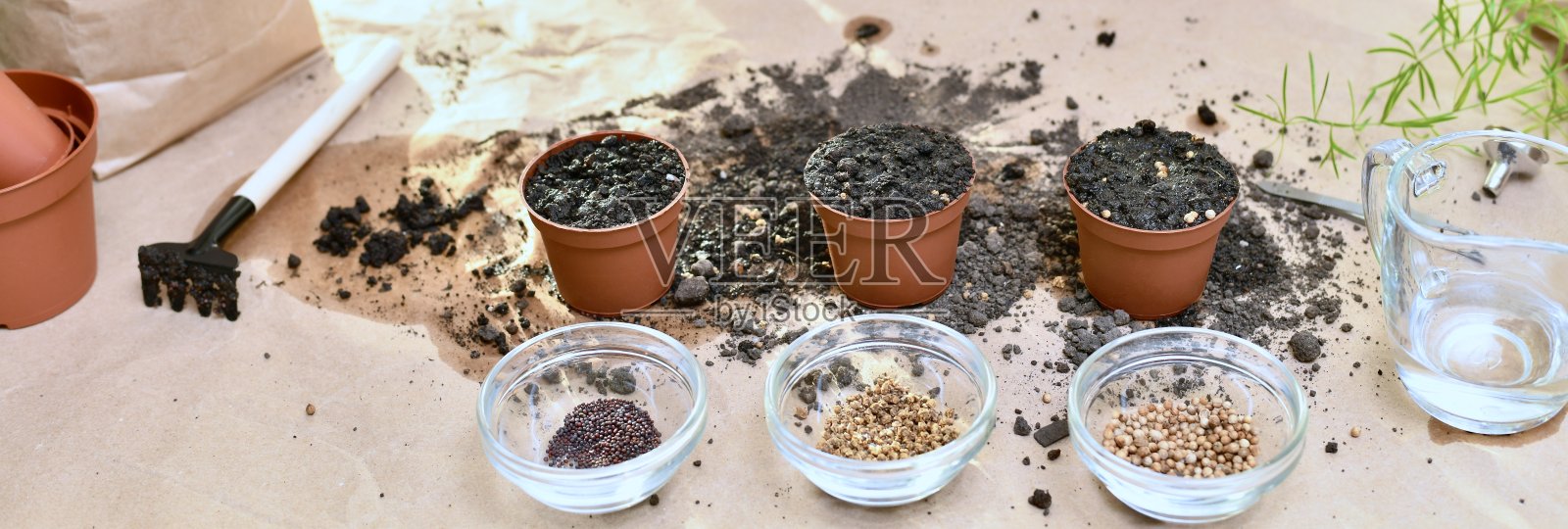 利用园艺工具在家中种植微型绿色植物的盆栽苗。播种结束阶段播种结束阶段照片摄影图片