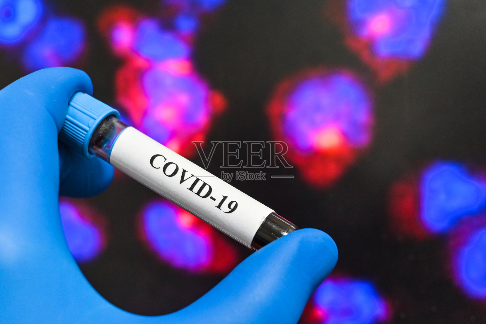 COVID-19测试。照片摄影图片