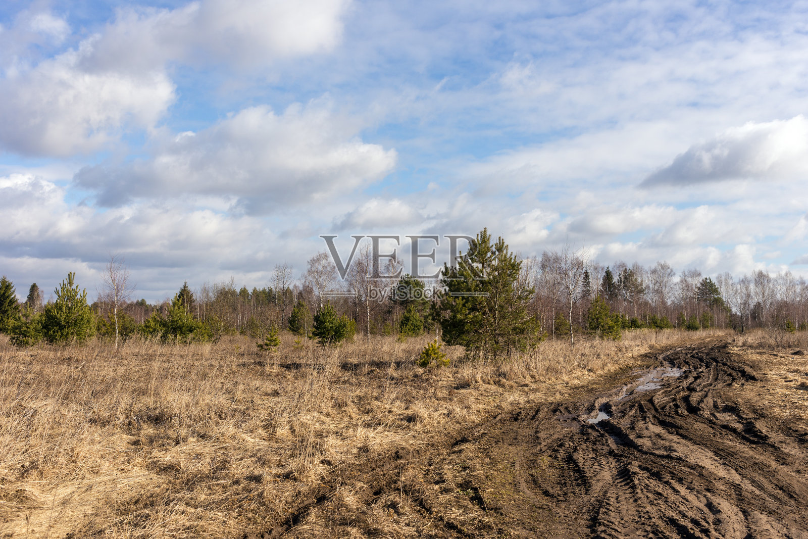 春天的土路照片摄影图片