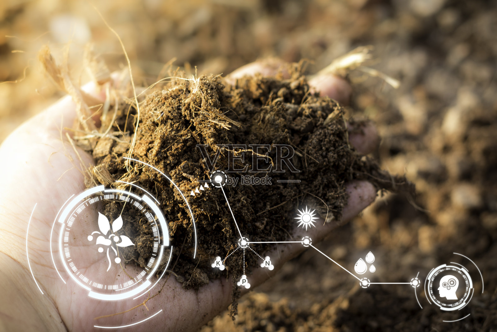 智能科技与物联网未来农业概念。用一个手指点击数字屏幕的分析报告。文本的空闲空间。迷离温柔的艺术自然背景照片摄影图片