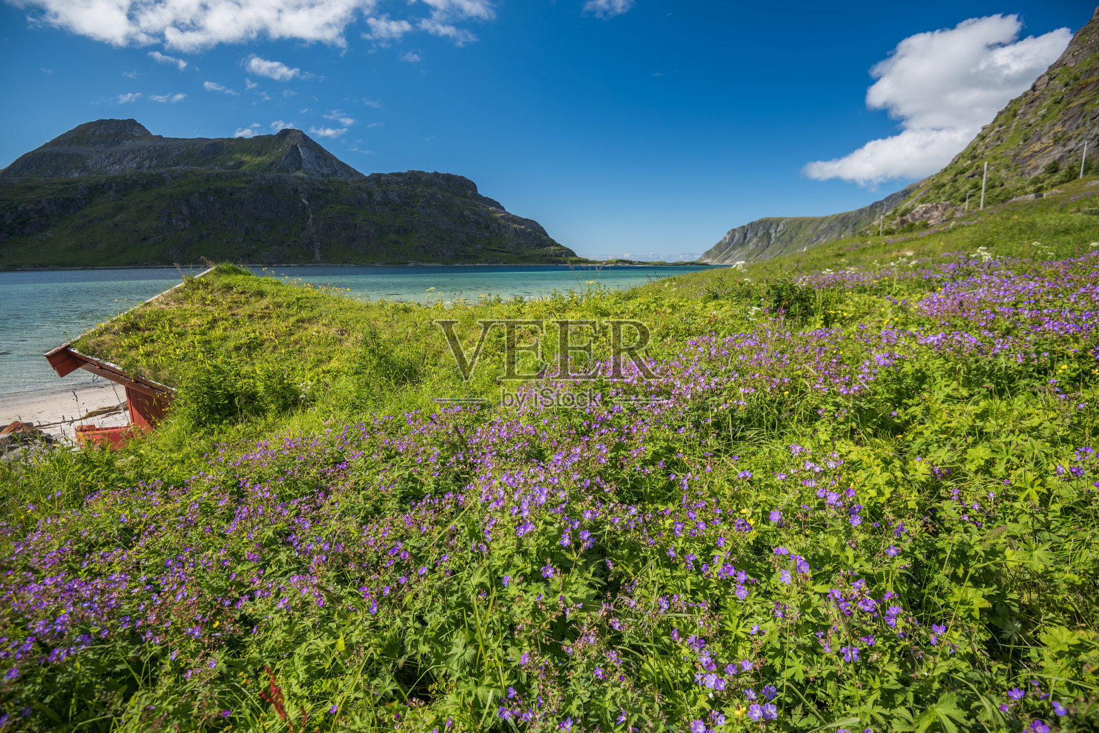 挪威罗浮敦群岛夏日美景照片摄影图片