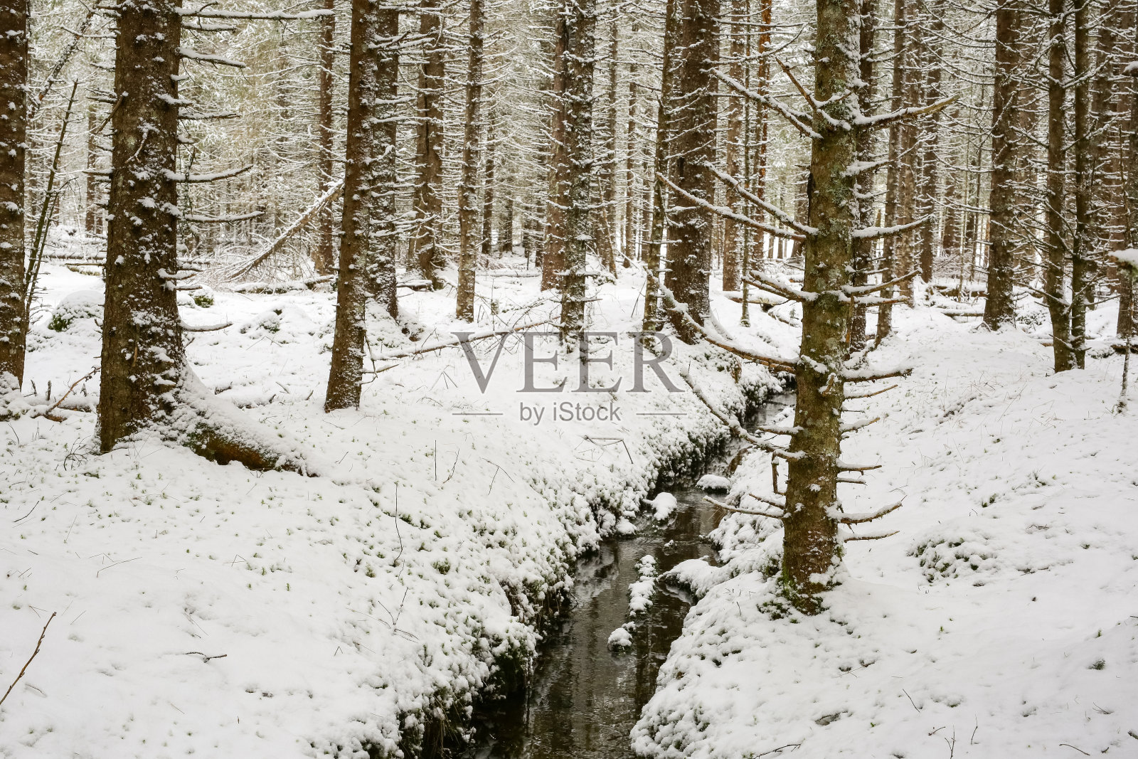 春天在挪威照片摄影图片