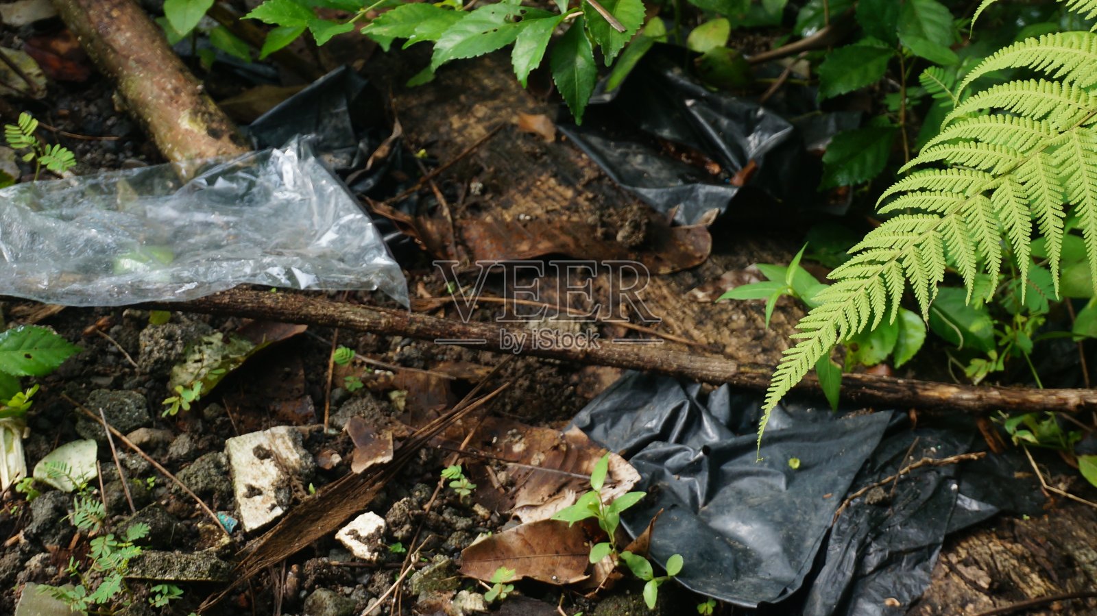塑料袋是大自然的废物照片摄影图片