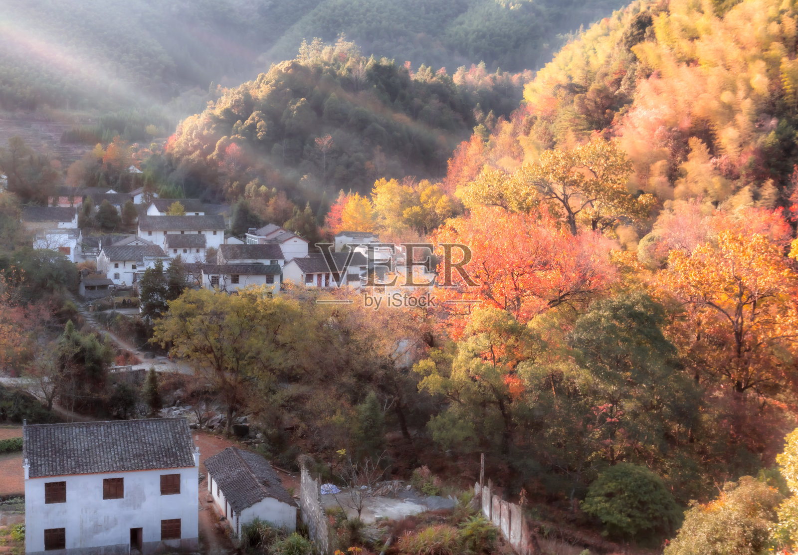 深秋的早晨，中国安徽省的农村照片摄影图片