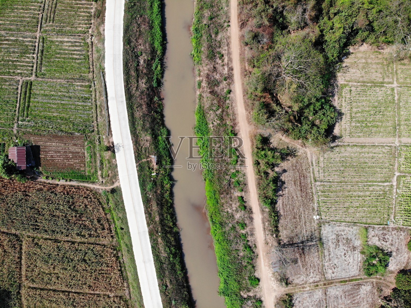 航拍无人机乡村农业和森林照片摄影图片