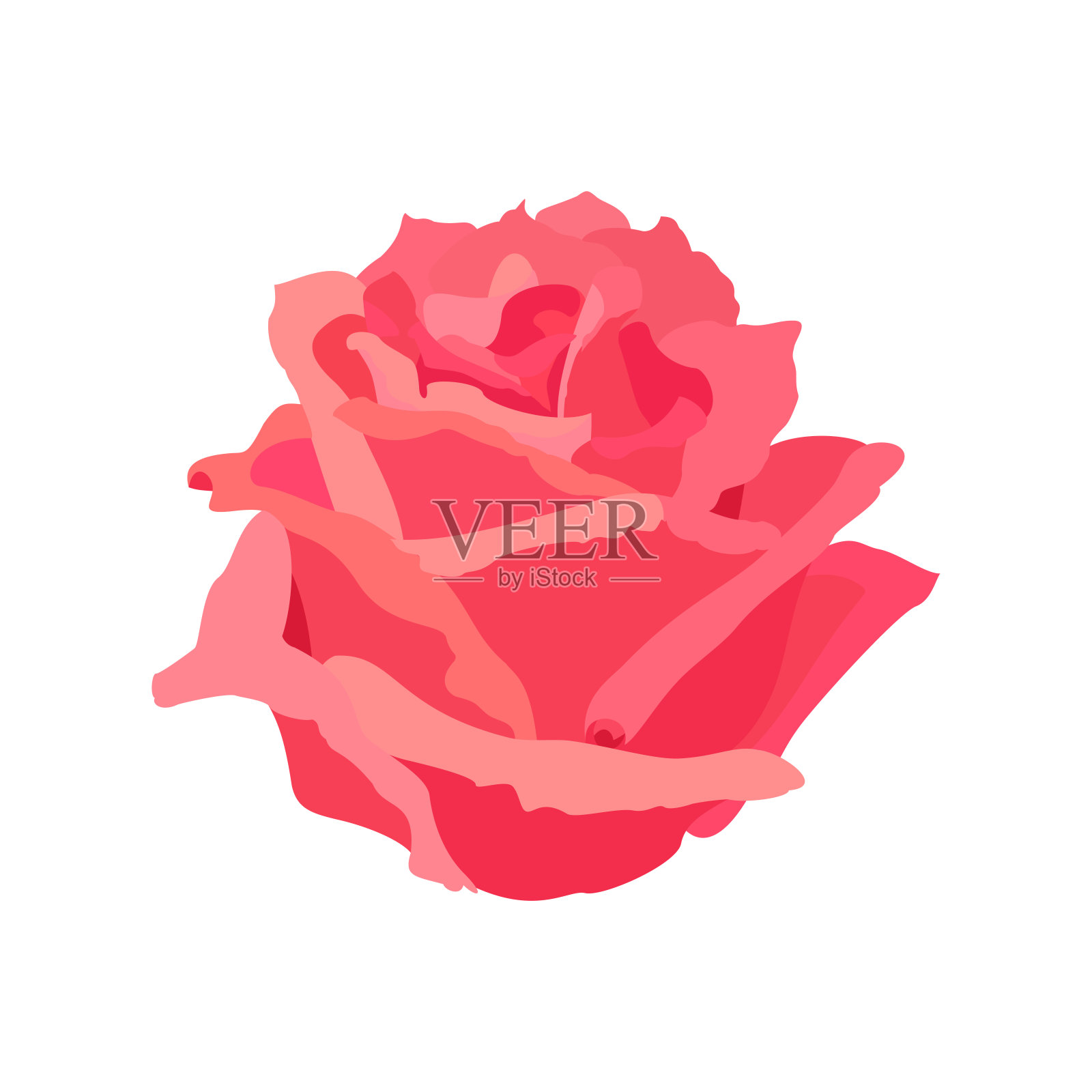 矢量玫瑰花剪辑艺术插画图片素材