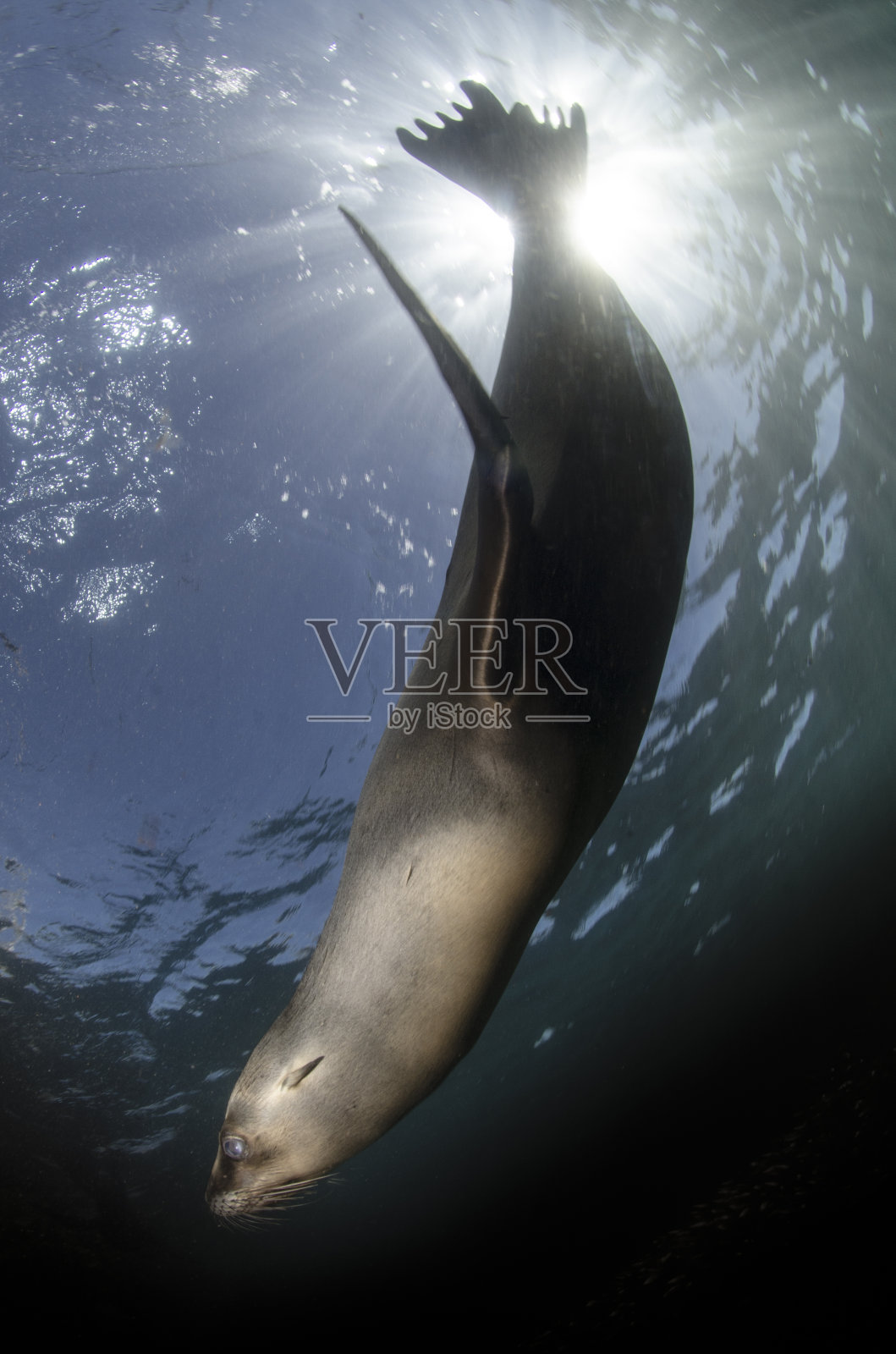 恰城对妇女实施otaria照片摄影图片