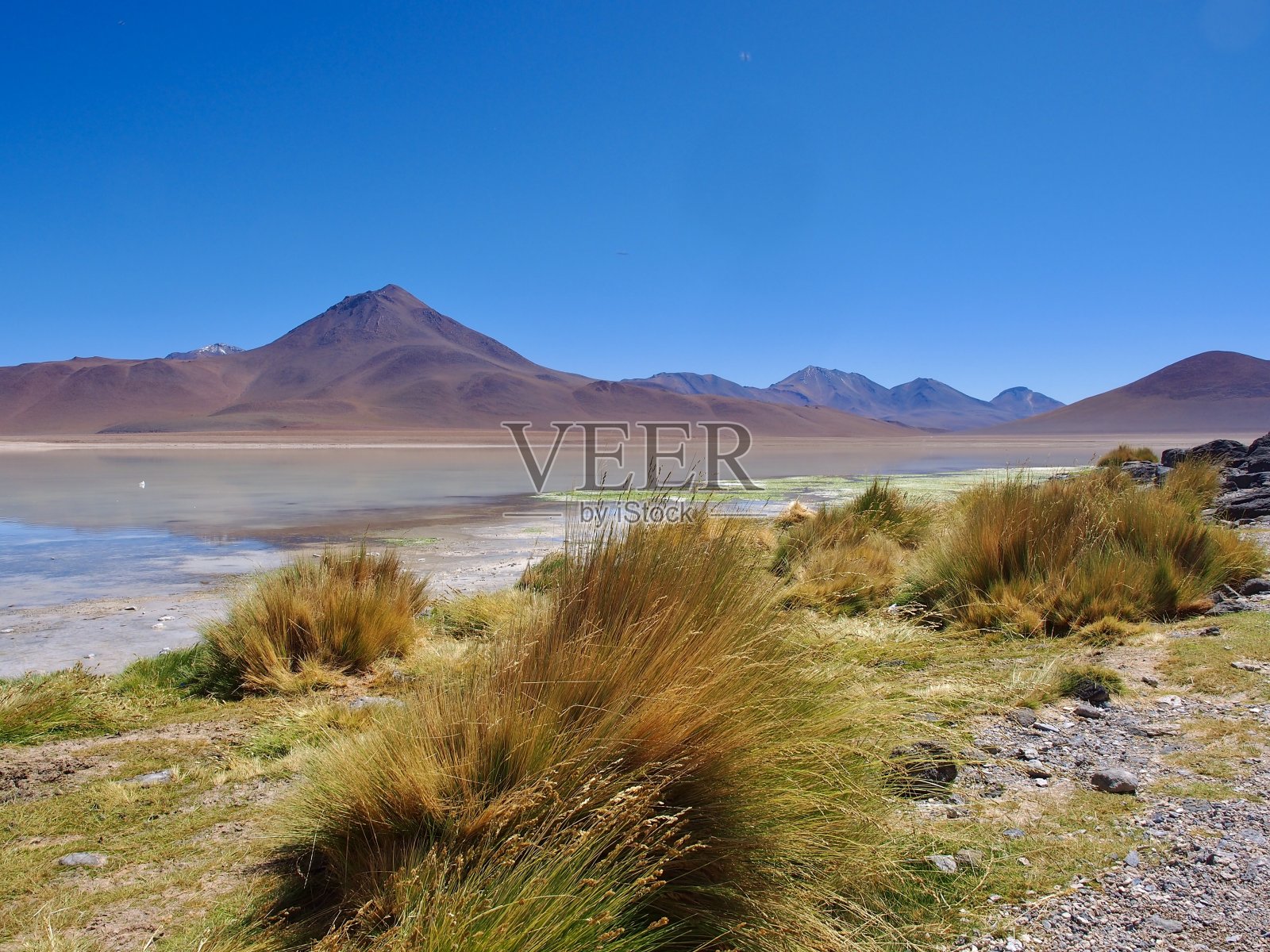 安第斯泻湖照片摄影图片