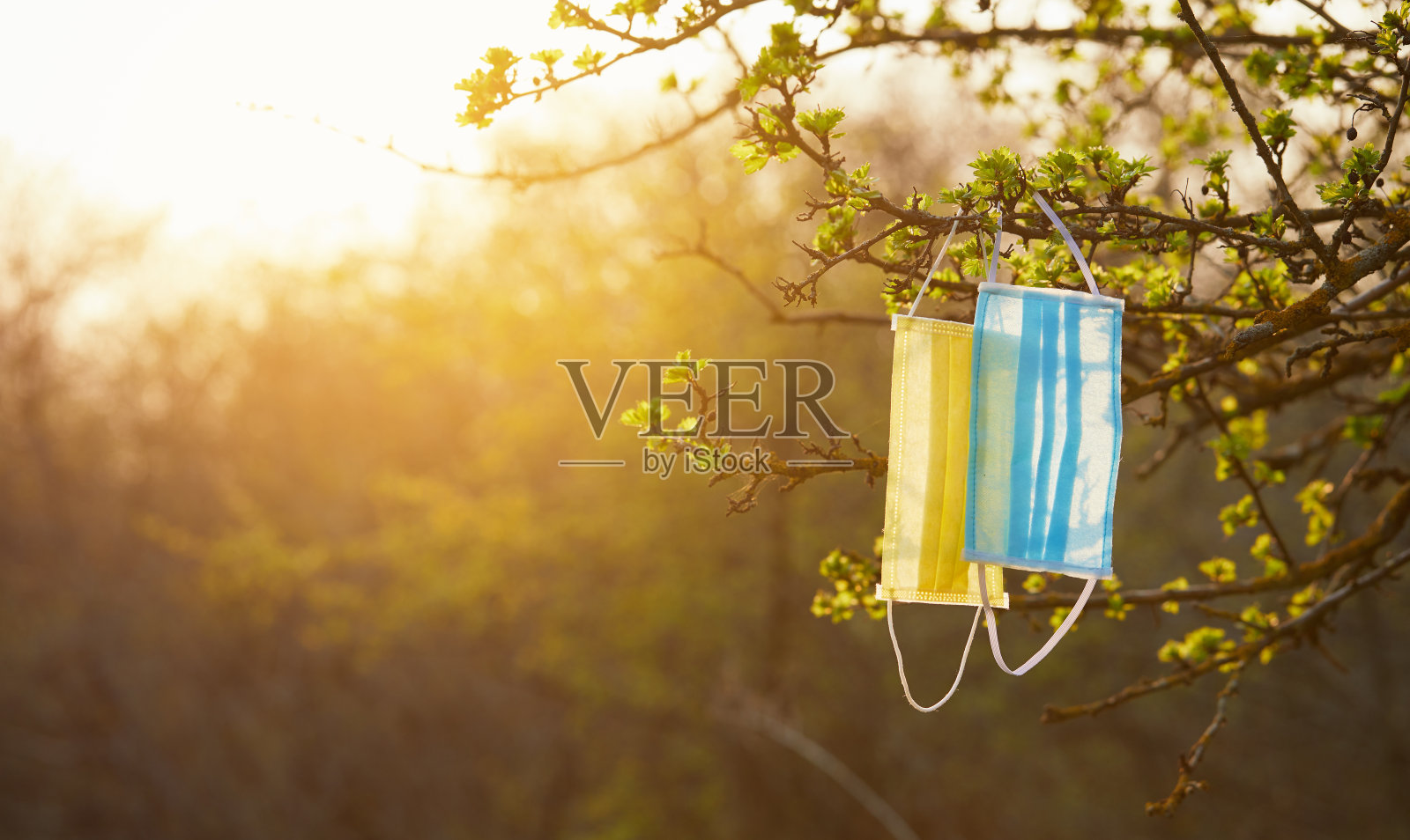 在春天的花园中，黄蓝色的防护面具挂在一棵开花的树上。乌克兰隔离后的生态后果。环境照片摄影图片