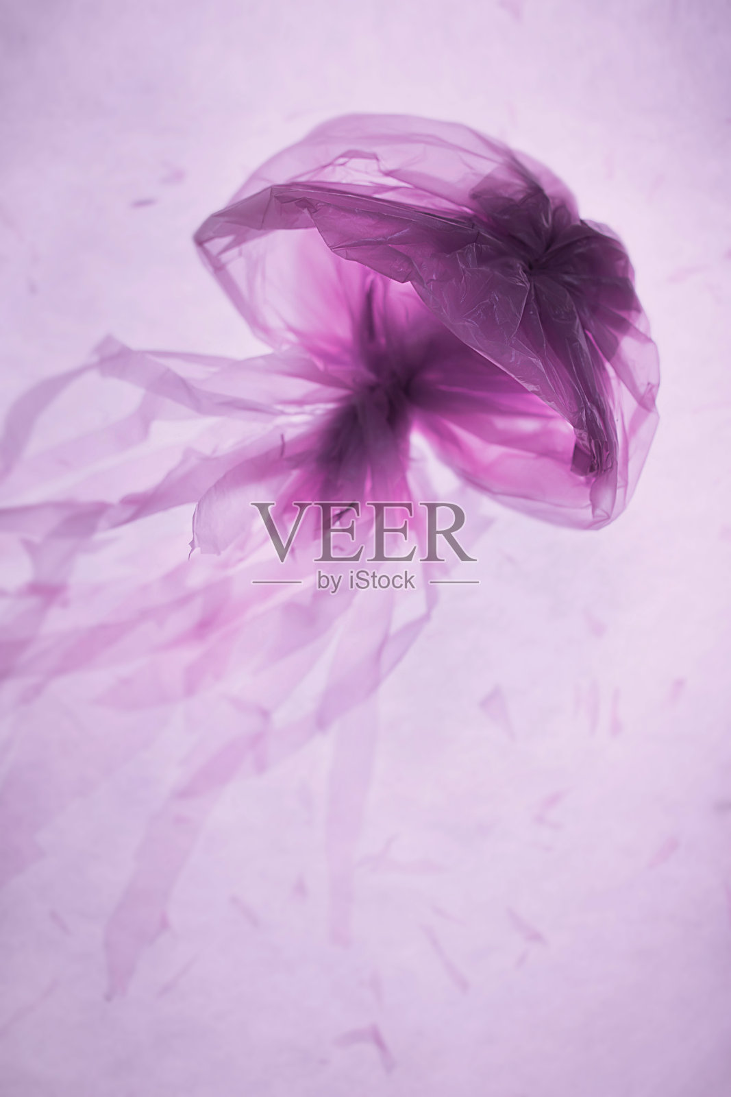 塑料袋里的水母。紫色,淡紫色,半透明的。49、拯救环境的观念，污染海洋的理由照片摄影图片