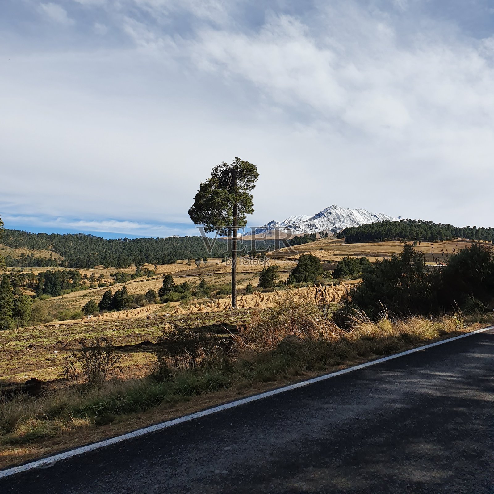 墨西哥托卢卡的自然旅游和生态旅游照片摄影图片