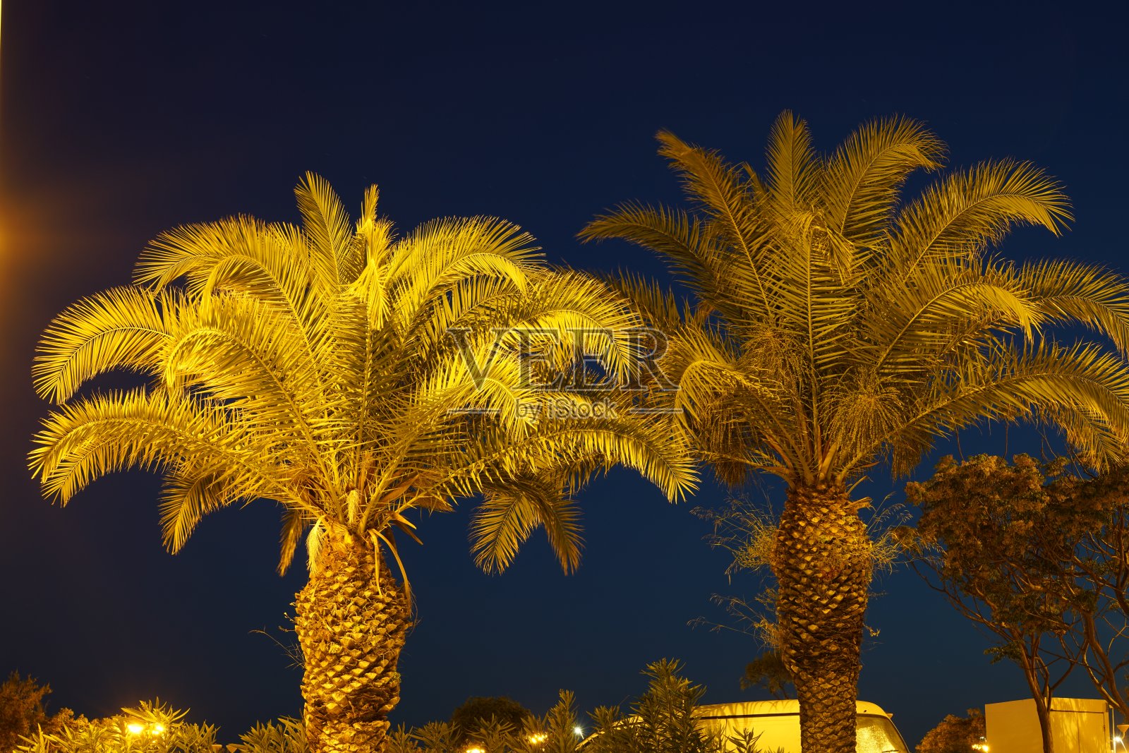 棕榈树是南方国家日常城市生活的一部分照片摄影图片