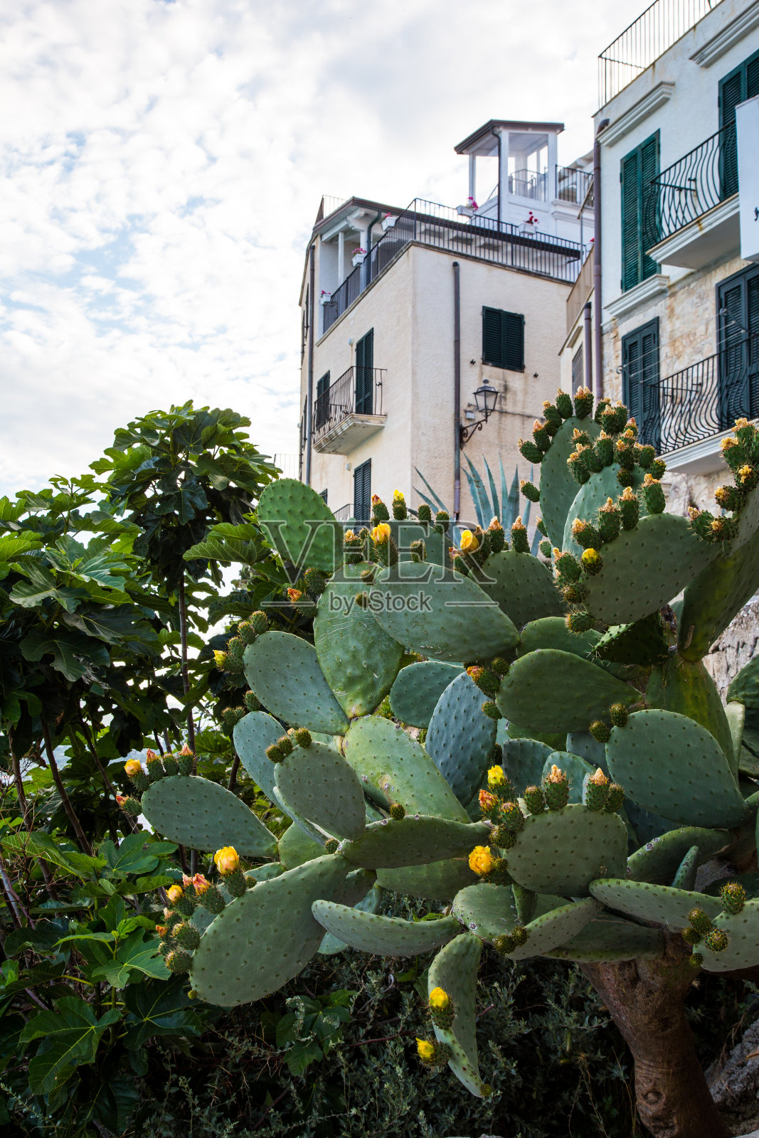 老城区狭窄的街道照片摄影图片