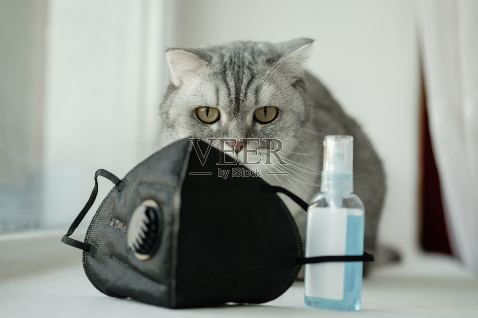 一只灰色条纹的小猫坐在窗台上，旁边有一个黑色口罩和杀菌剂。自我隔离的概念、居家隔离、冠状病毒对动物的影响、孤独和感染照片摄影图片