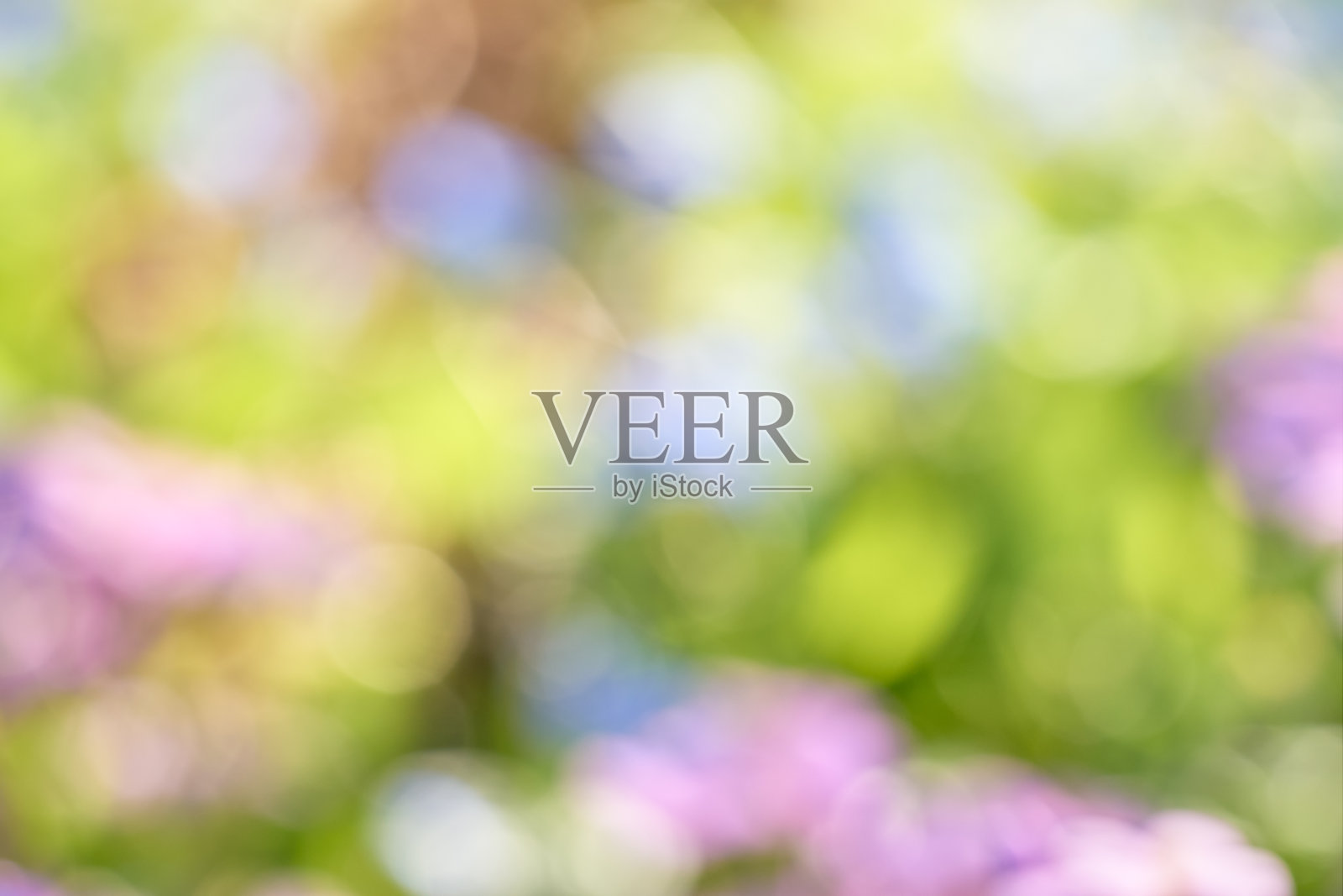 自然色彩的散景抽象背景照片摄影图片