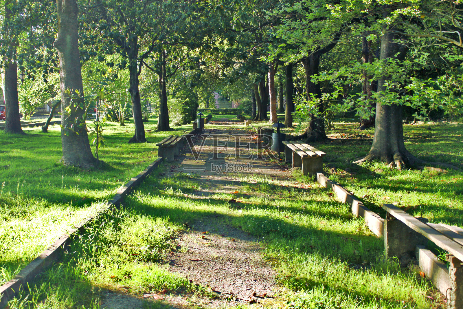 老公园里的一条杂草丛生的小路。照片摄影图片