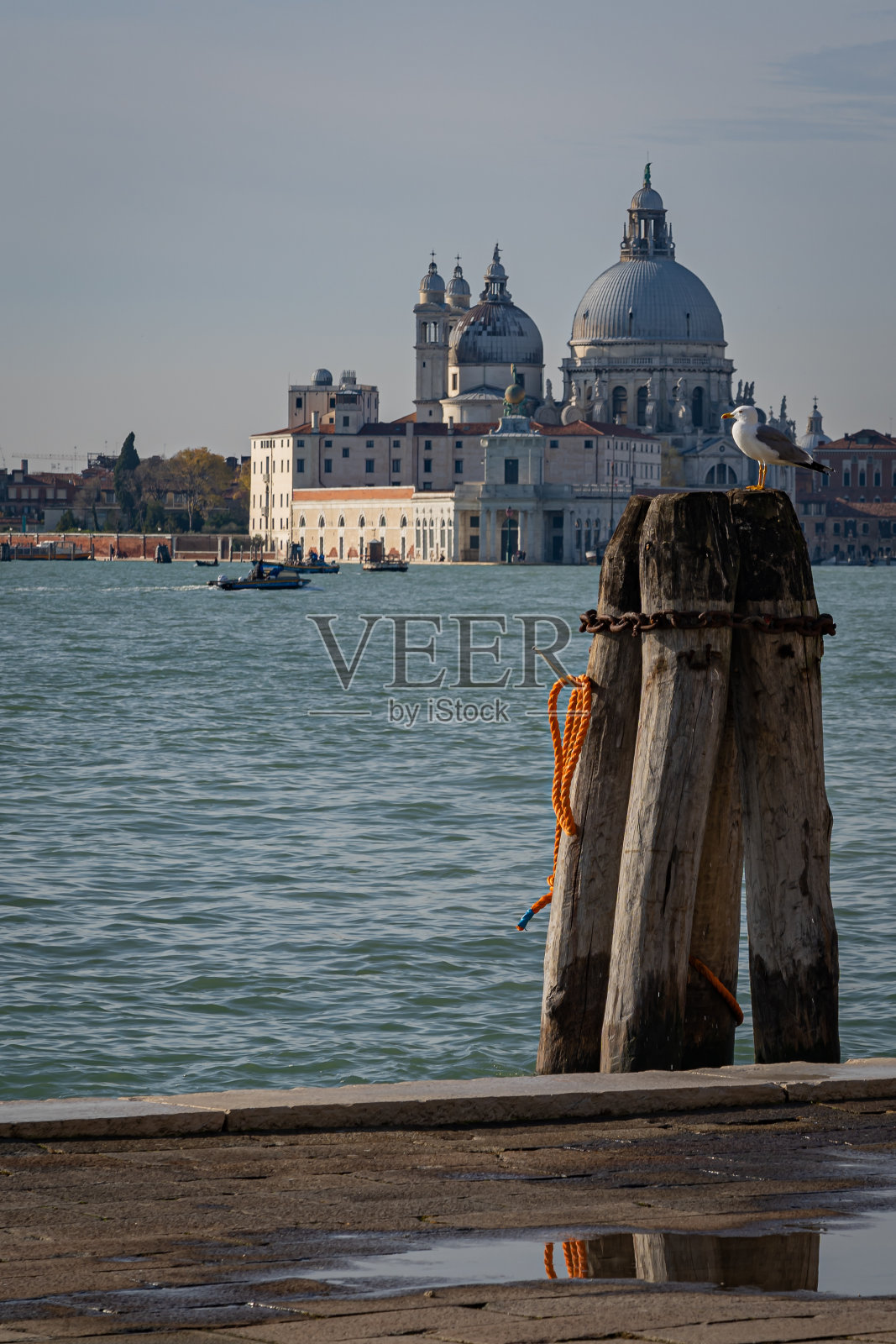 意大利威尼斯照片摄影图片