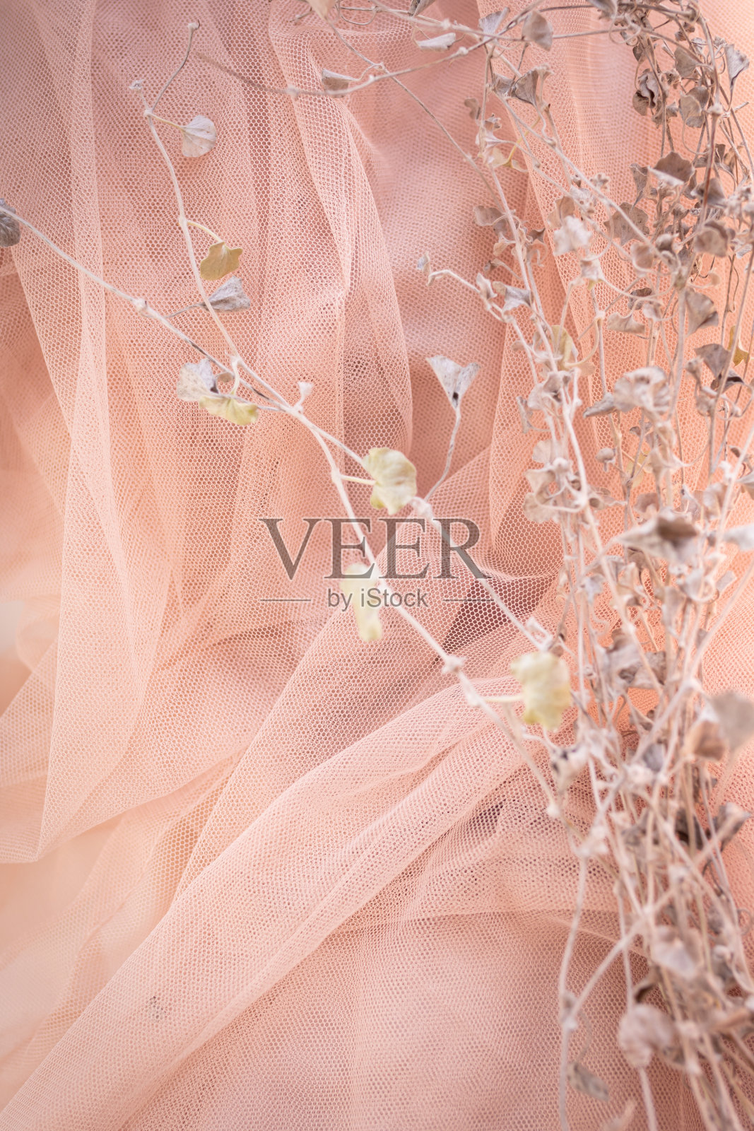 文本的复古婚礼照片摄影图片