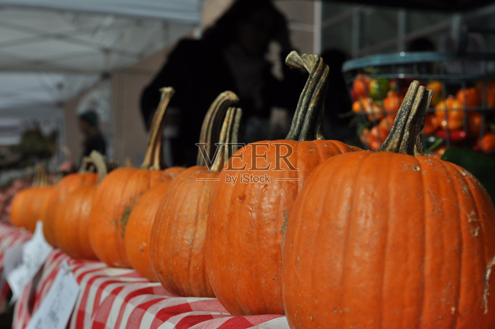 农贸市场的南瓜照片摄影图片