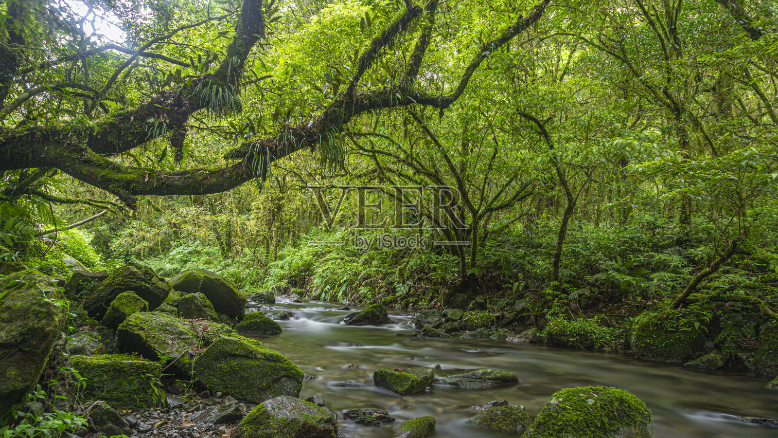 长曝光的全景照片的河流流过热带雨林在台湾岛的白天照片摄影图片