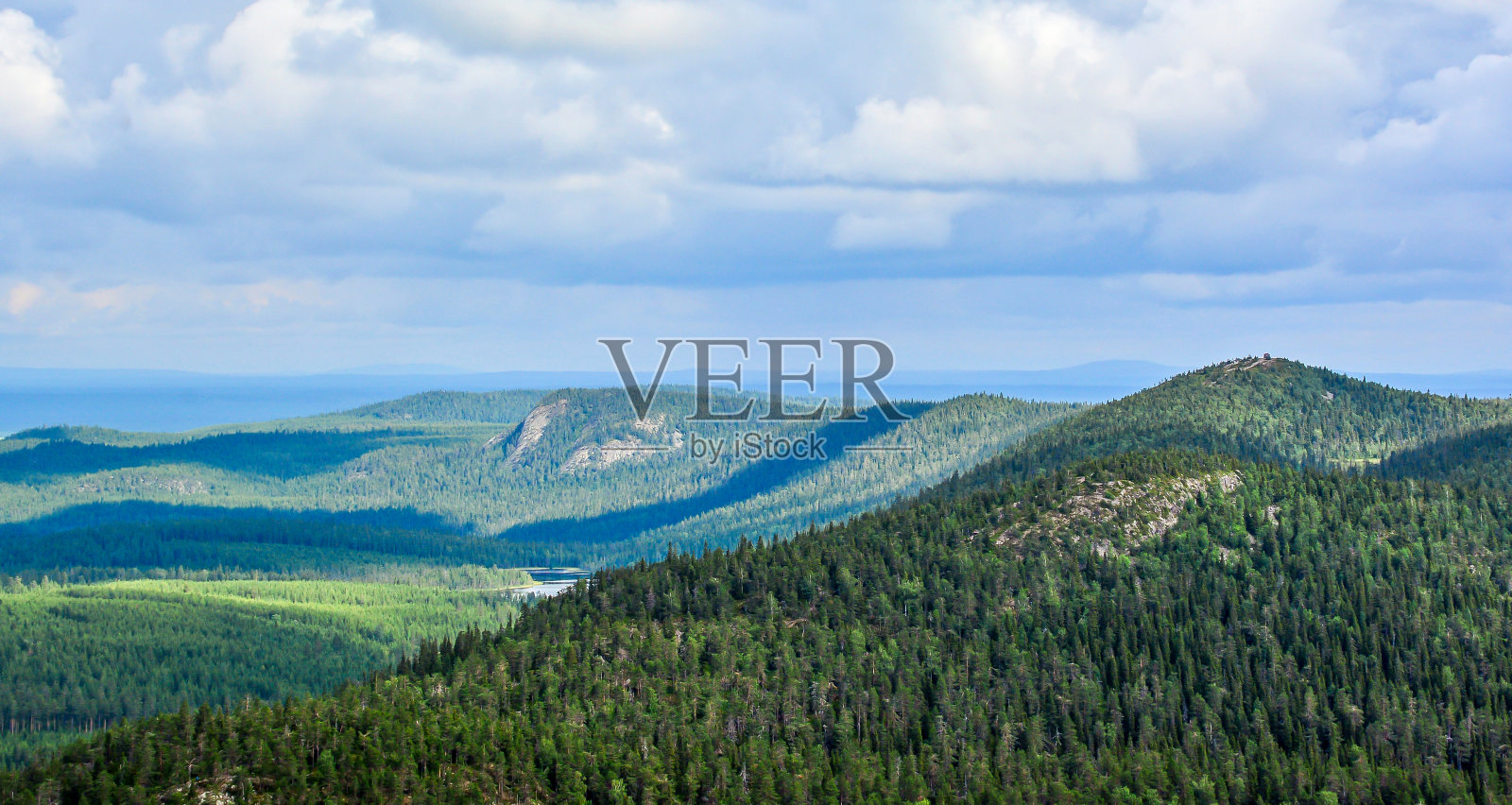 芬兰的森林景观照片摄影图片