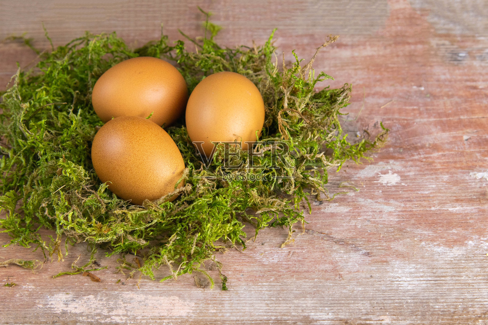 卵站在绿色苔藓的巢中。顶部视野与清晰的空间照片摄影图片