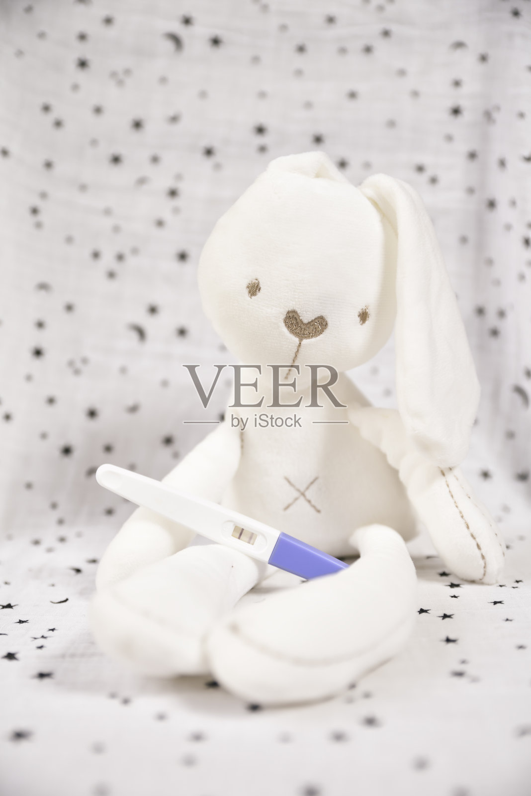 填充兔子与预测星背景。新的父母。怀孕测试。照片摄影图片