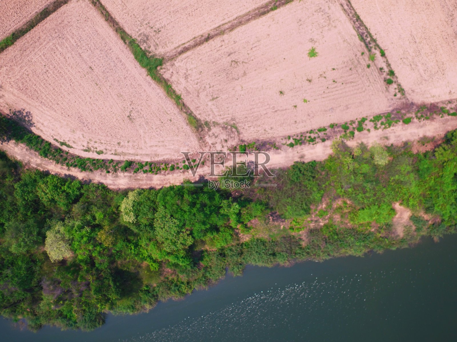 空中俯瞰运河沼泽森林绿色无人机摄影照片摄影图片