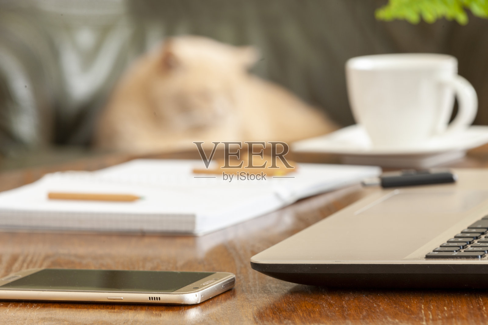 居家办公居家自我隔离作为应对冠状病毒Covid - 19爆发的预防措施的概念。在大流行期间呆在家里照片摄影图片