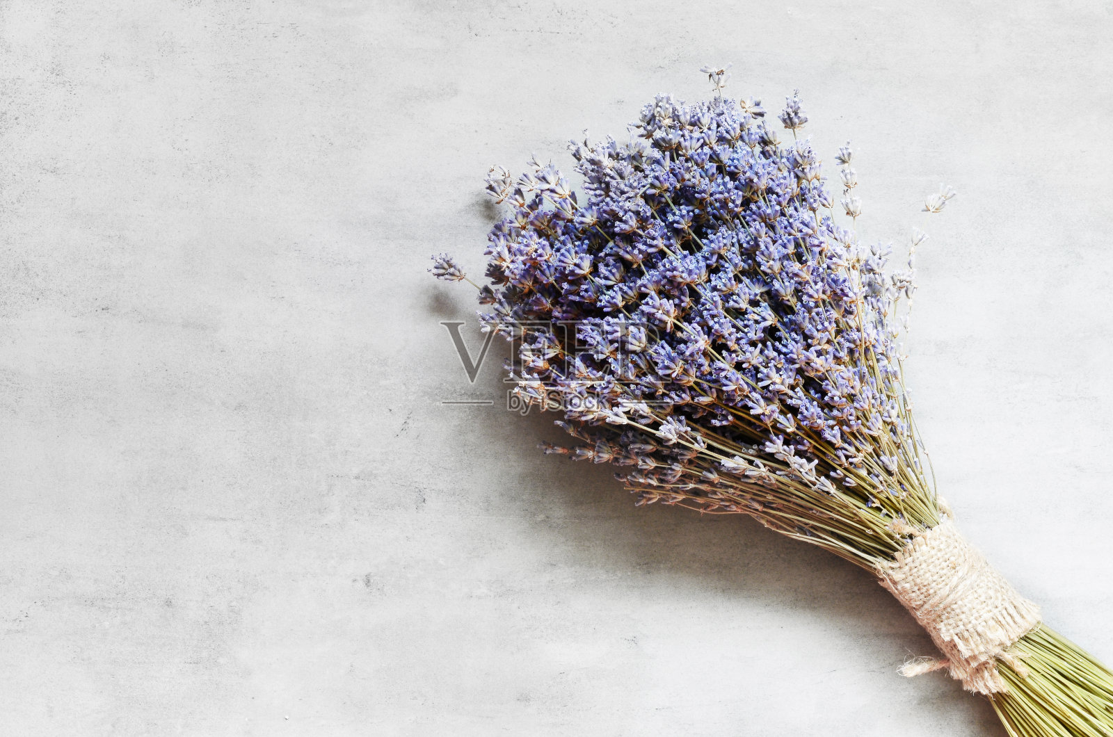 淡灰色背景上的薰衣草花束。平的。照片摄影图片
