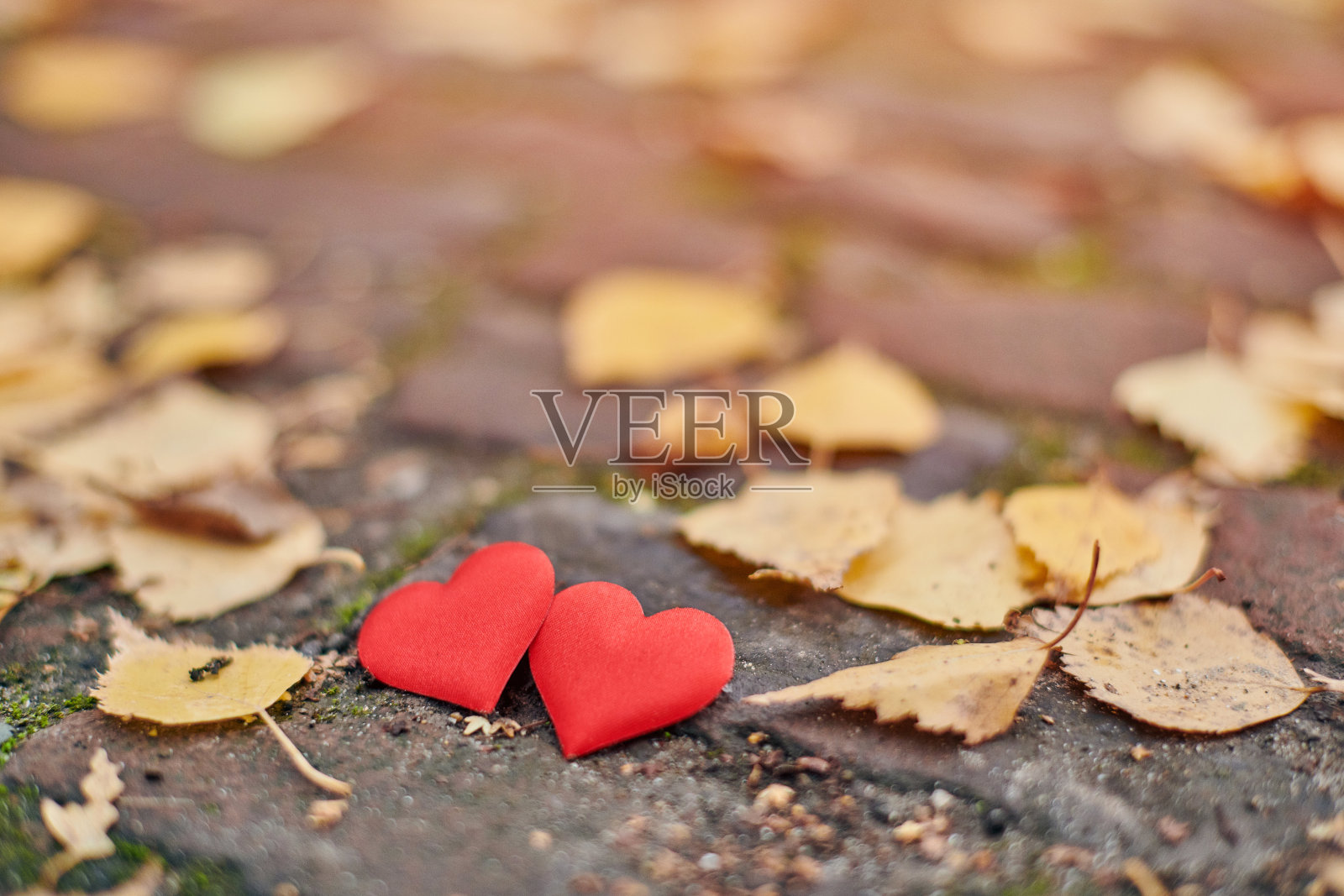 爱情或友情概念照片摄影图片