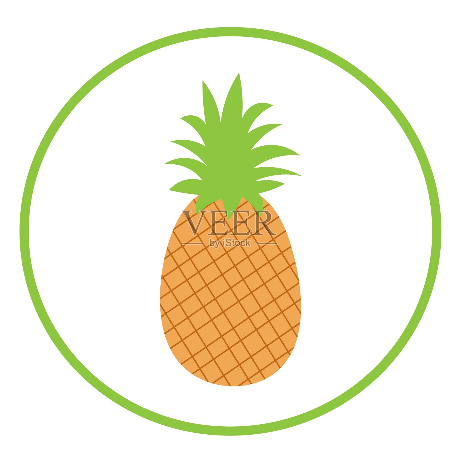 天然菠萝插图。有机水果插画图片素材