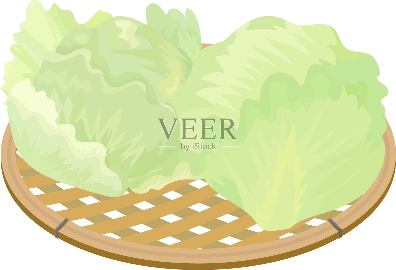 篮子上有两棵生菜。矢量插图。插画图片素材