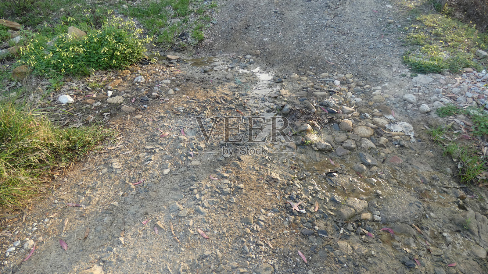 几乎干涸的山溪照片摄影图片