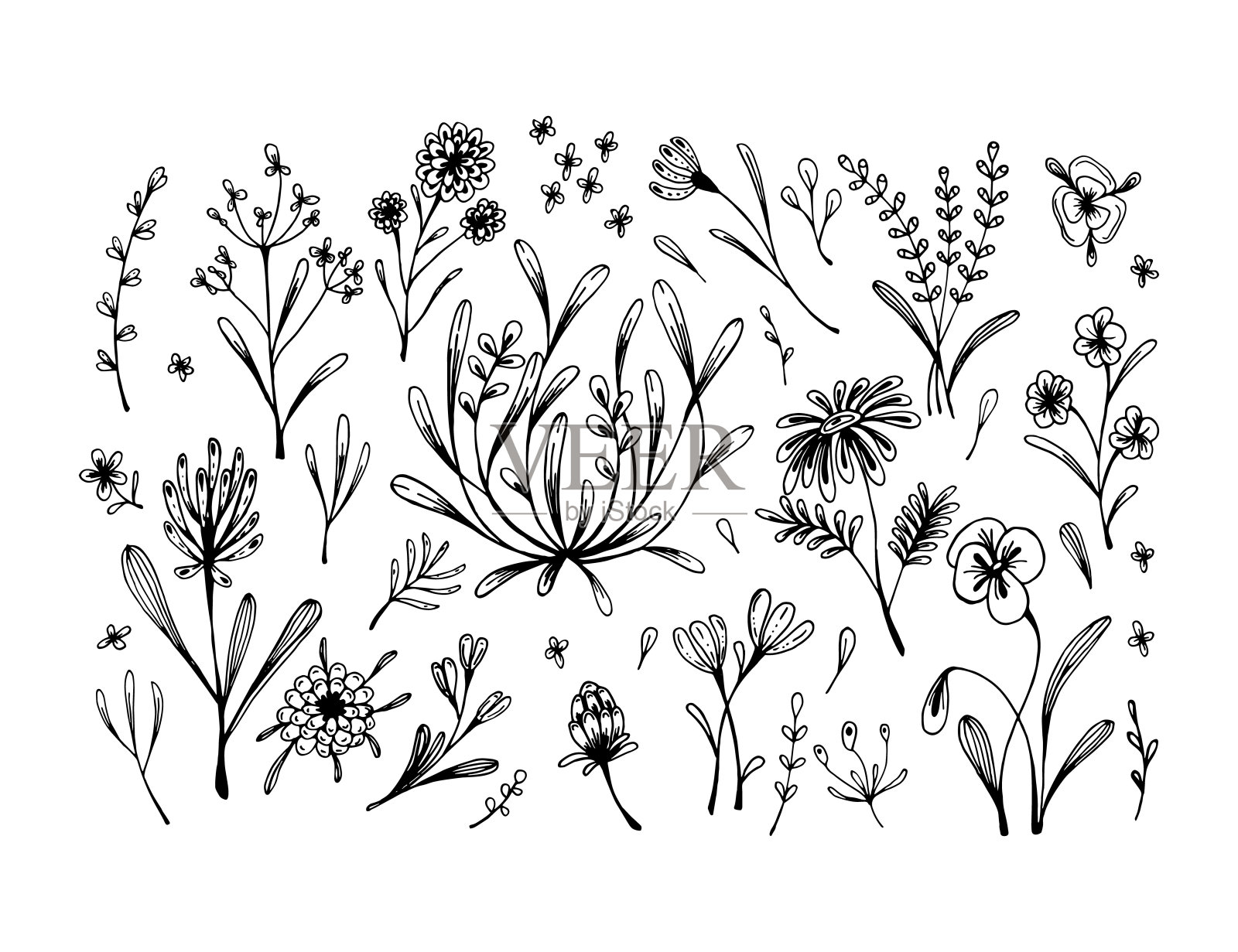 一套手绘花卉设计元素。矢量插图素描风格孤立在白色插画图片素材