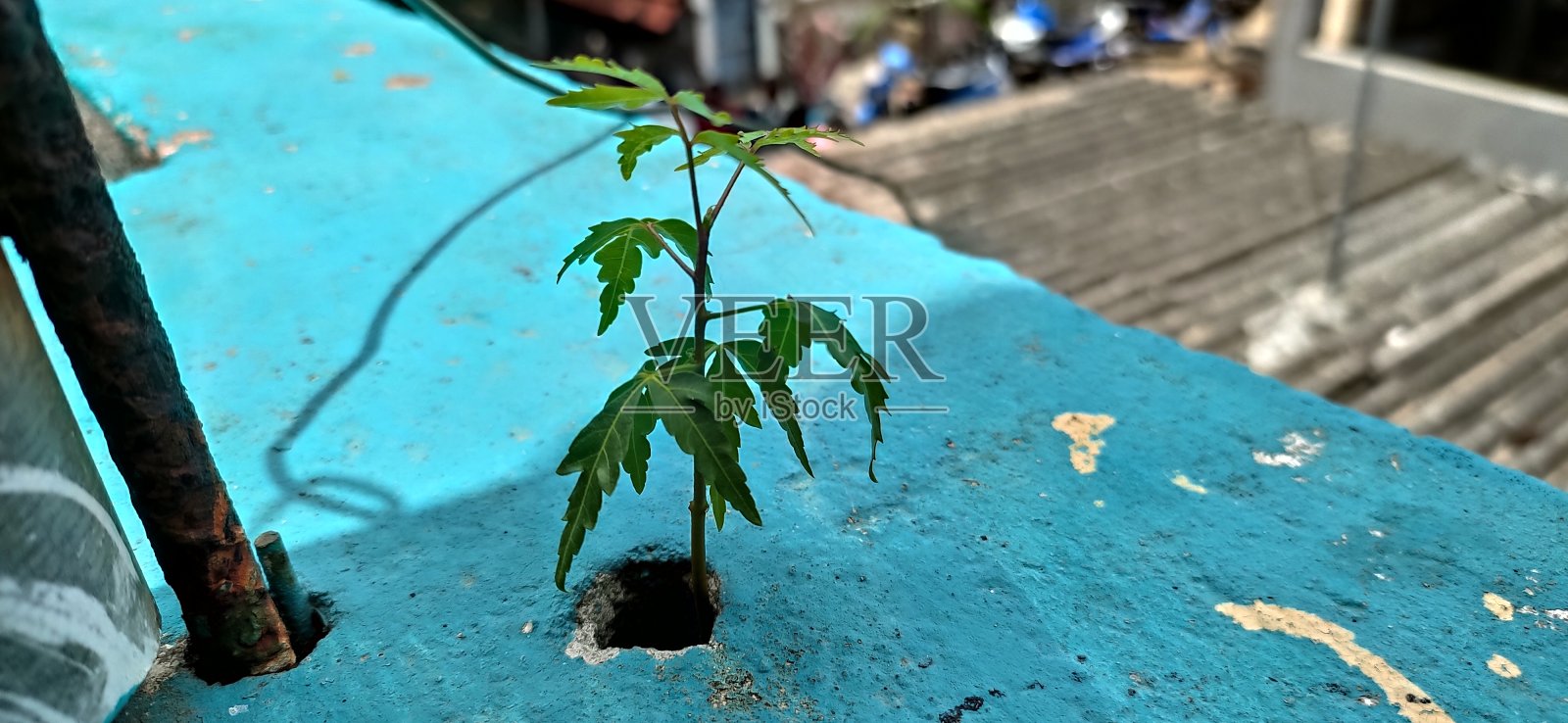 采取萨普林照片摄影图片