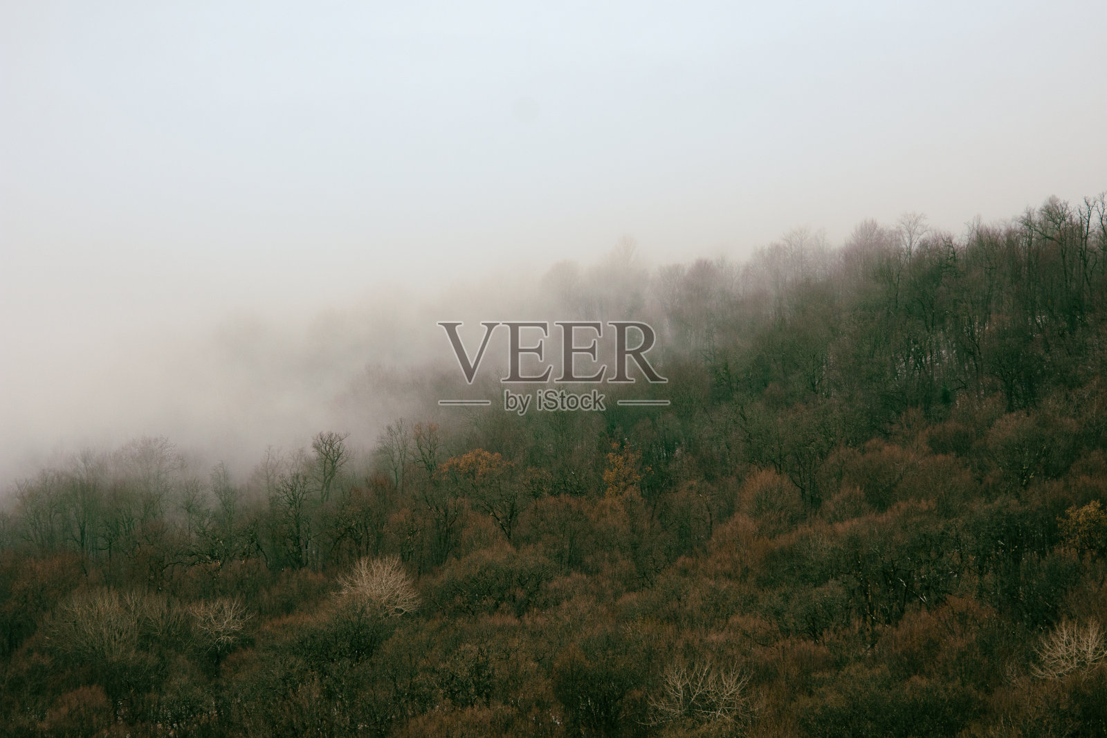 悲观的景观。照片摄影图片