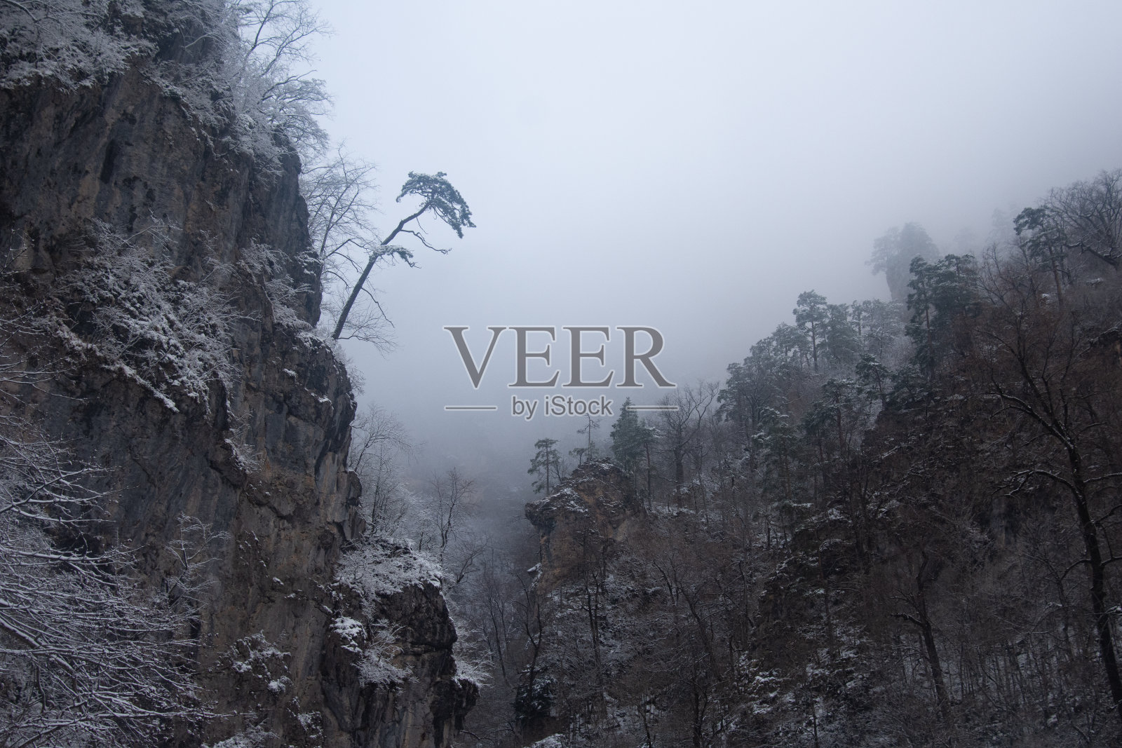 悲观的景观。照片摄影图片