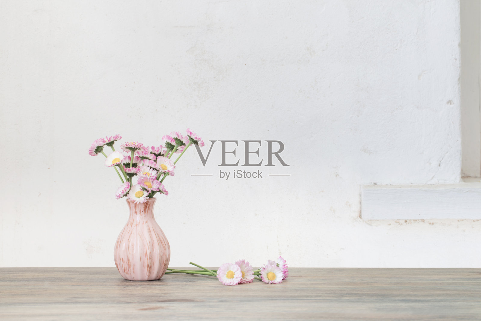 木桌上粉红色花瓶里插着雏菊花照片摄影图片