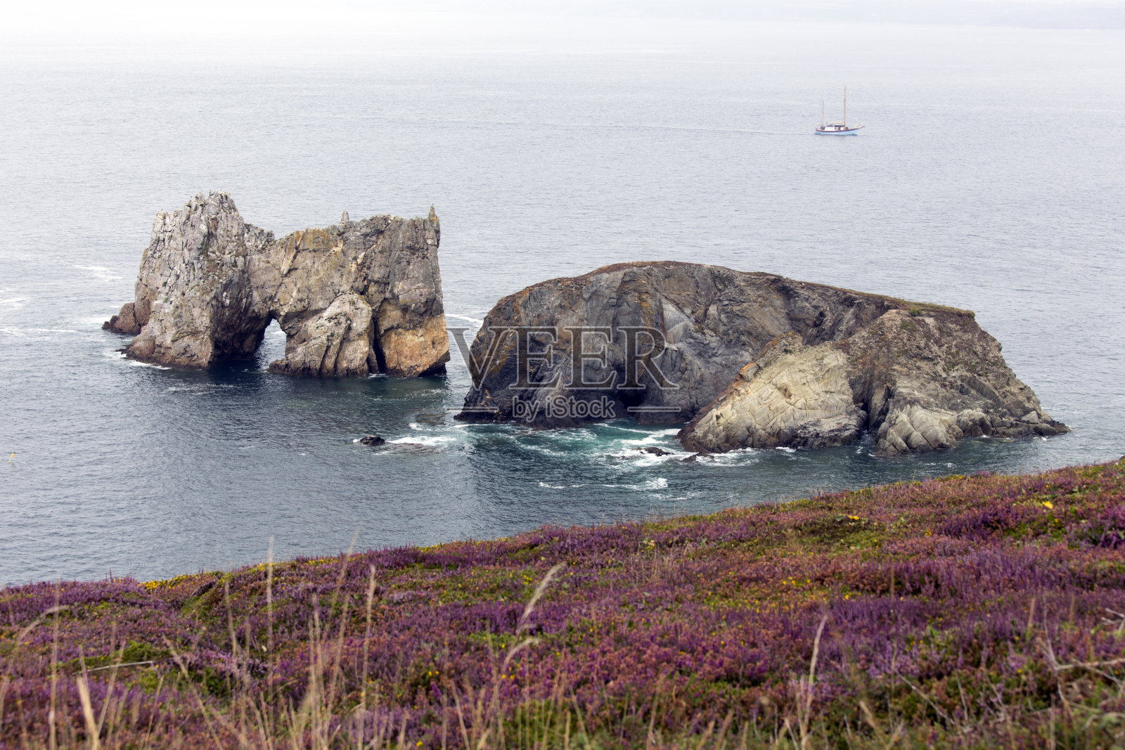 英国夏天的雾照片摄影图片
