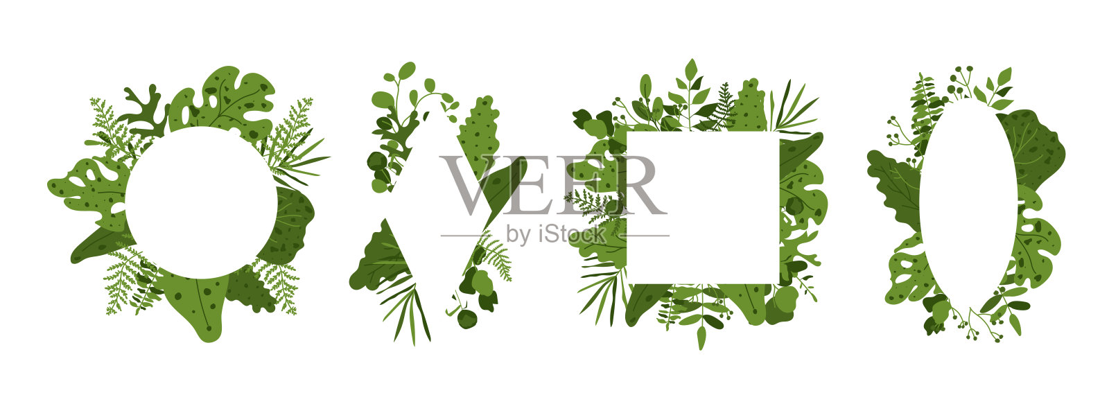 热带绿色异国情调树叶文本框矢量素材插画图片素材